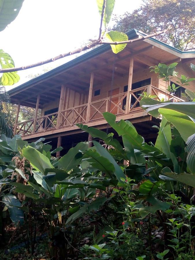 Forest Lodge Uvita Exterior foto