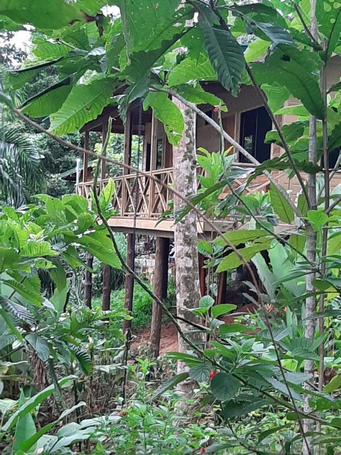 Forest Lodge Uvita Exterior foto